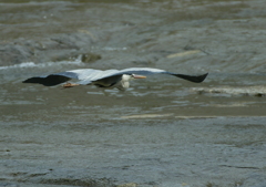 同じ目線・・・