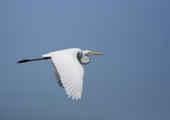 定番スタイル・・・