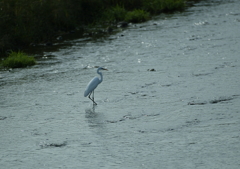 2.歩いてみるか・・・