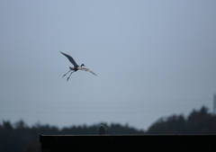 1.お気に入りの場所(^-^)