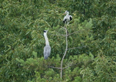 見つめ合う二人・・・②