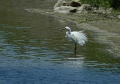 ブルブルッ・・・⑥