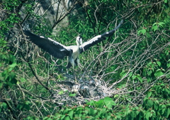 2.ただいま！いい子にしてた？・・・