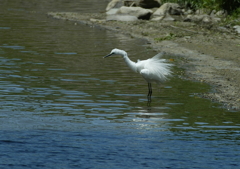 ブルブルッ・・・⑧