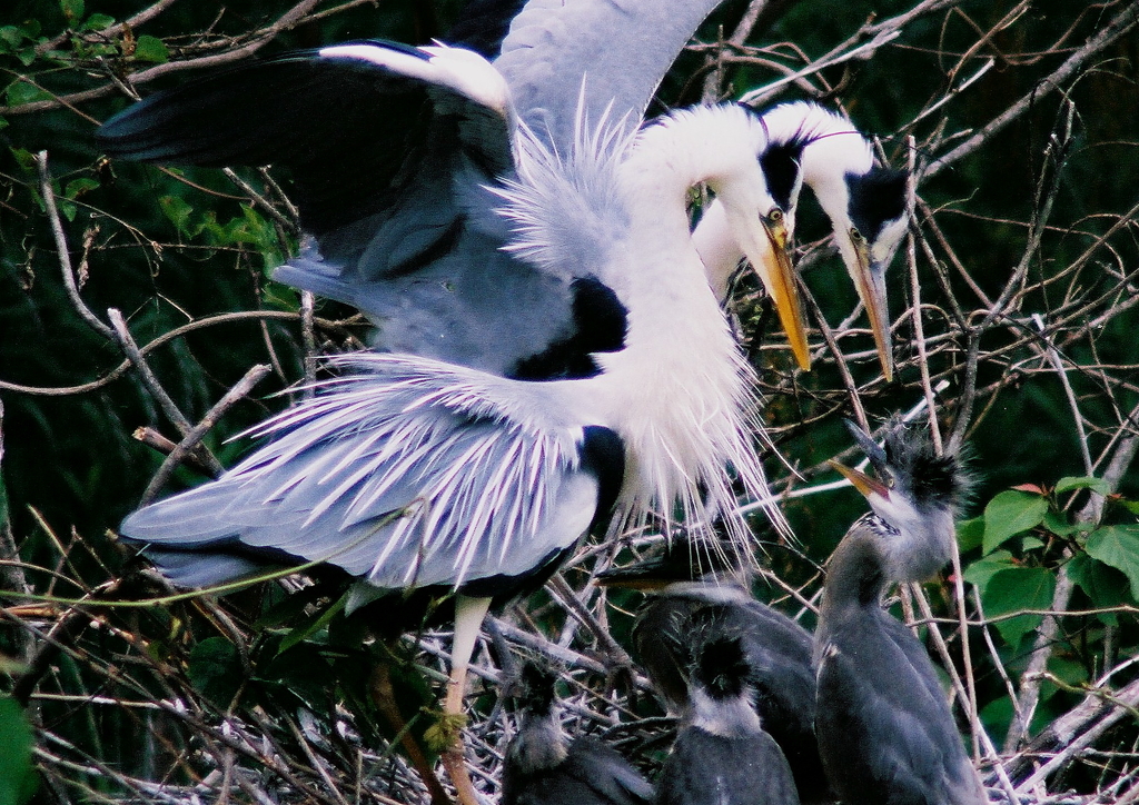 いい子で待ってろよ！
