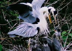 いい子で待ってろよ！
