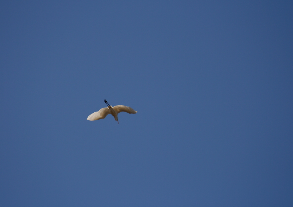 青空にクッキリと！③
