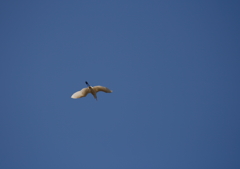 青空にクッキリと！③