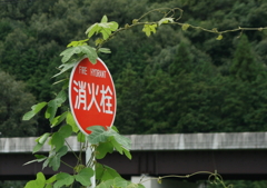 あら、まぁ・・・。