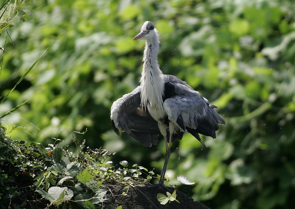 軽めのブルブル・・・③