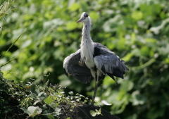 軽めのブルブル・・・③