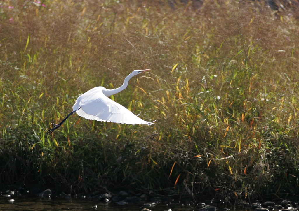 空に向かって・・・