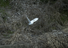 あっ、ごめんね・・・②