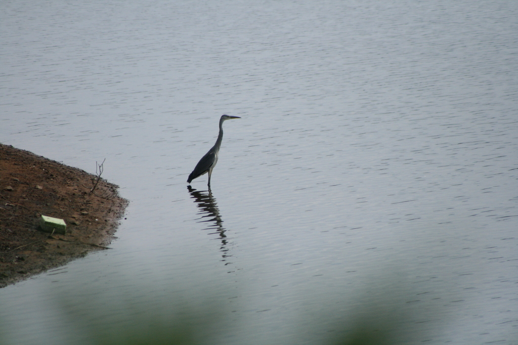 一歩引いて見た感想は？