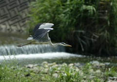着陸態勢・・・②
