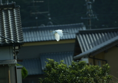 2.人里にて・・・