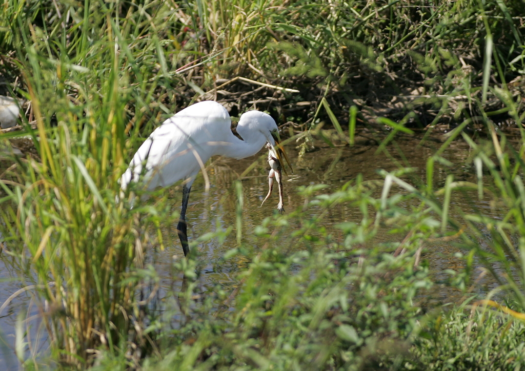 3.もうダメだぁ～・・・