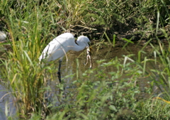 3.もうダメだぁ～・・・