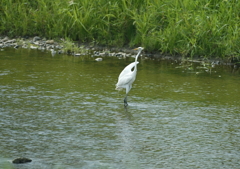 おっ！　これから何かするの？・・・