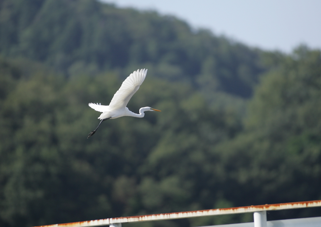 6.人の気配！逃げなきゃ・・・⑤