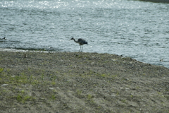 ブルブルッ・・・⑪