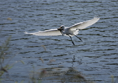 7.どこまで連れて行くの？③