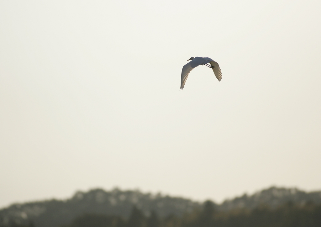 3.夕暮れ時・・・③