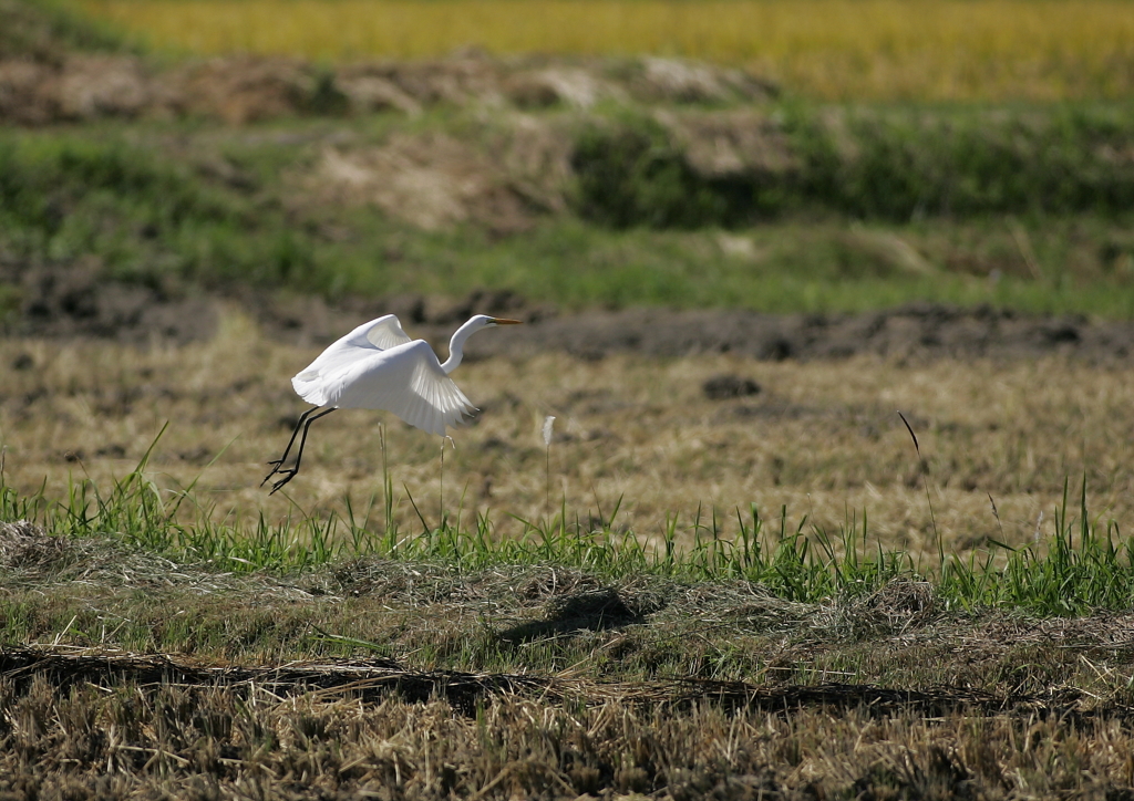 再び空中へ・・・⑤