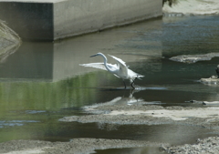 あっ！　ちょっと待てっ・・・