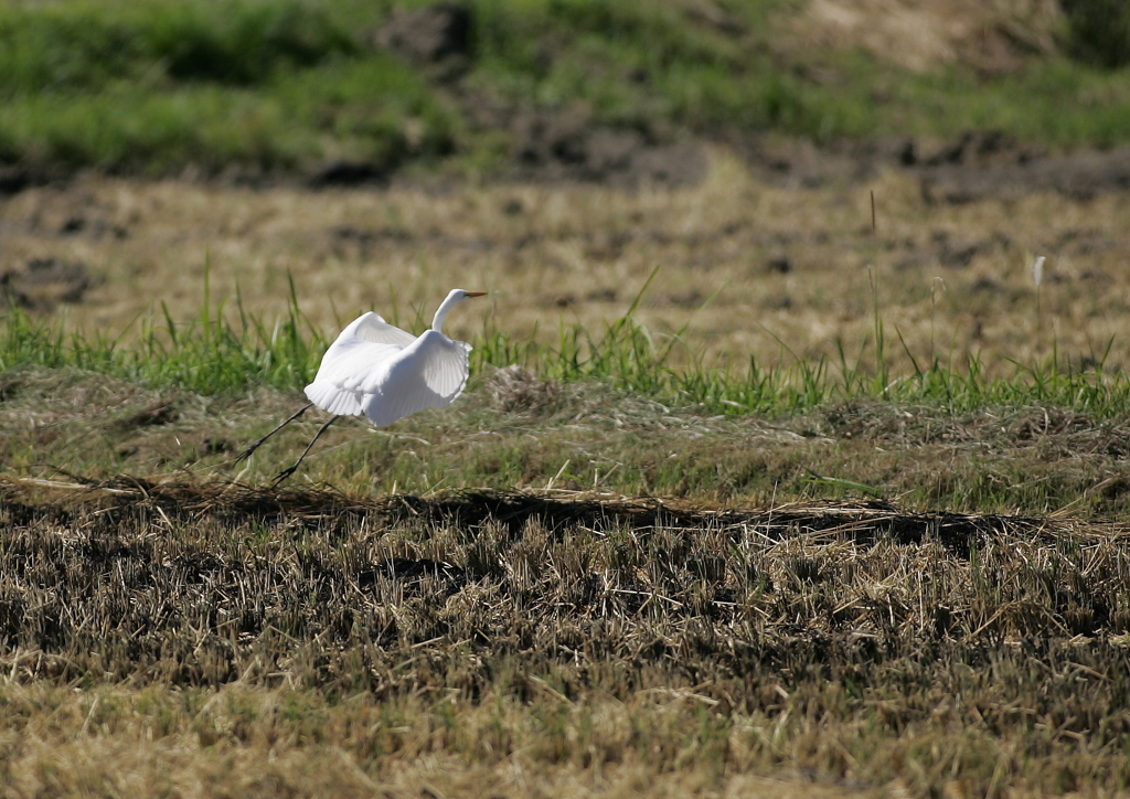 再び空中へ・・・