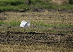 再び空中へ・・・
