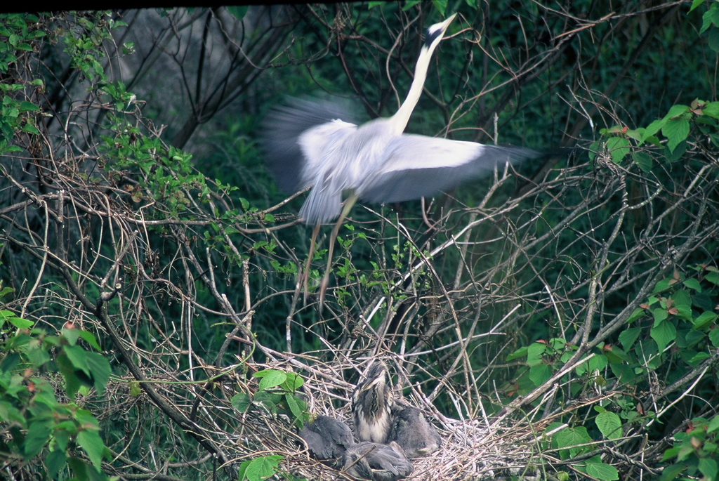 飛び立つ・・・
