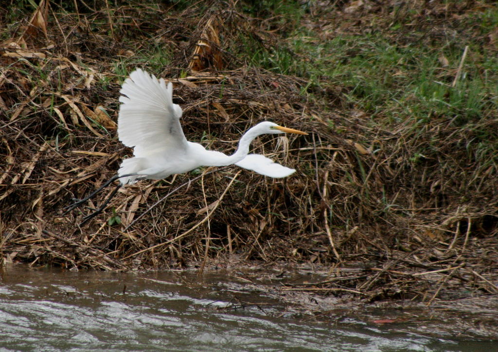 ここもダメそう・・・