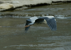 平和な時間・・・②
