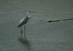 こんにちは！(^-^)