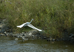 3.逃げないで・・・③