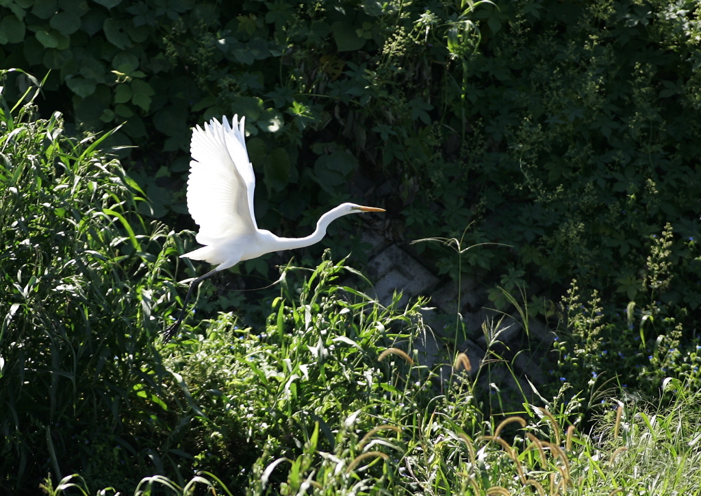 陽の光の中で・・・②