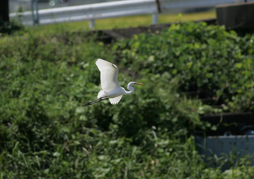 3.飛ぶ・・・③