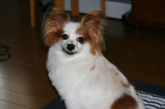 ショートカット(^-^)