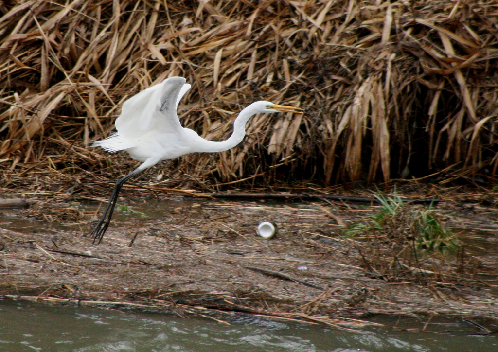 ここも汚いね・・・