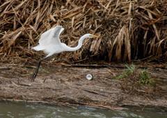 ここも汚いね・・・