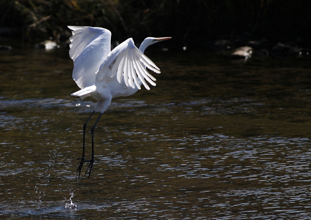 2.人の気配を察知し・・・②