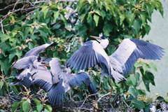 ただいまっ、いい子にしてた？