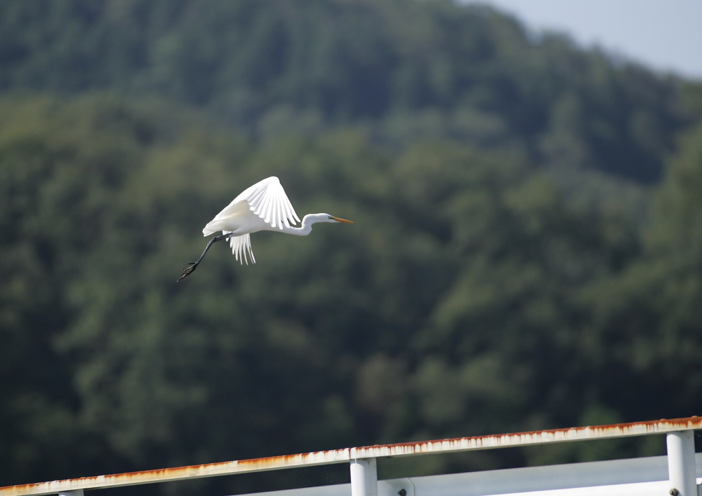 5.人の気配！逃げなきゃ・・・④