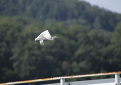 5.人の気配！逃げなきゃ・・・④