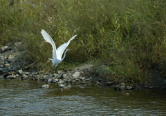 2.逃げないで・・・②