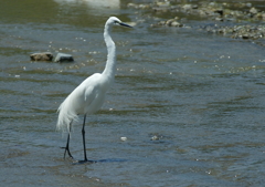 今日はいい天気だね(^-^)