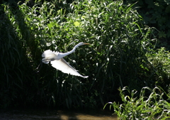 陽の光の中で・・・