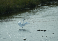 2.舞い降りる妖精・・・②