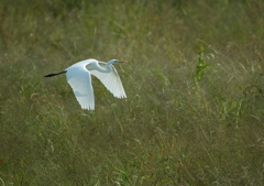 6.華麗なる瞬間・・・⑥